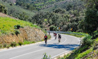 Group of cyclists riding on winding road in Albufeira