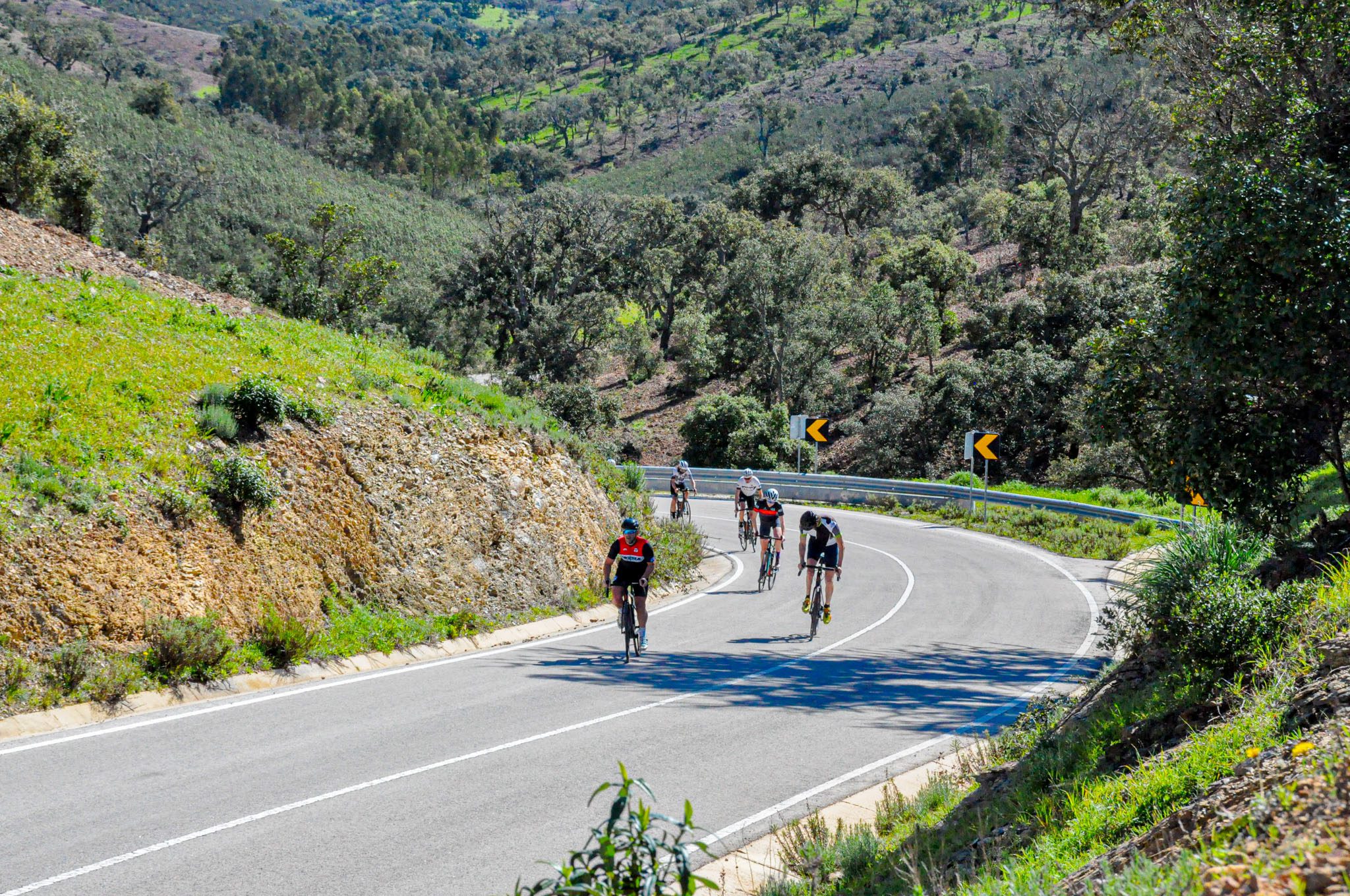 Group of cyclists riding on winding road in Albufeira